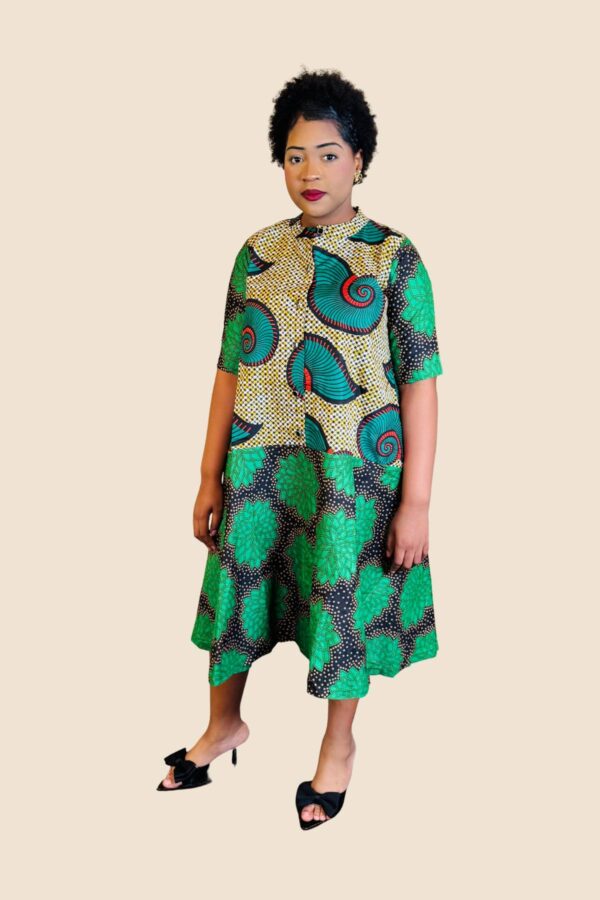 kaine- mid flare- dress- green combo-1200x1800p-01